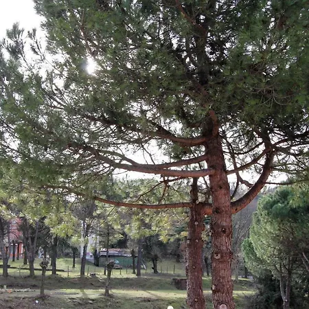 Al Valico Della Foce *